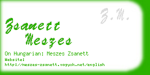 zsanett meszes business card